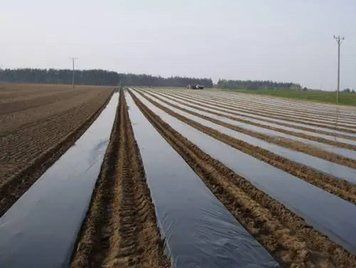 Черная пленка для мульчирования холст 1.0м х 1000м (50 мкм)